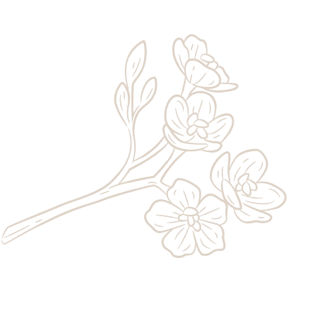 Drawed Flower