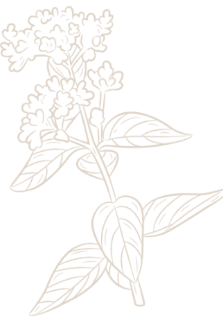 Flower Design